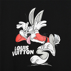 Clothes Louis Vuitton 795
