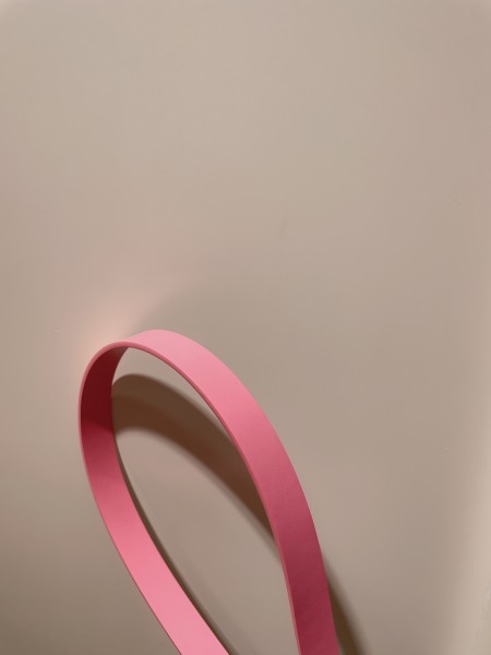 Bottega Veneta Belt 6 (width 2cm)