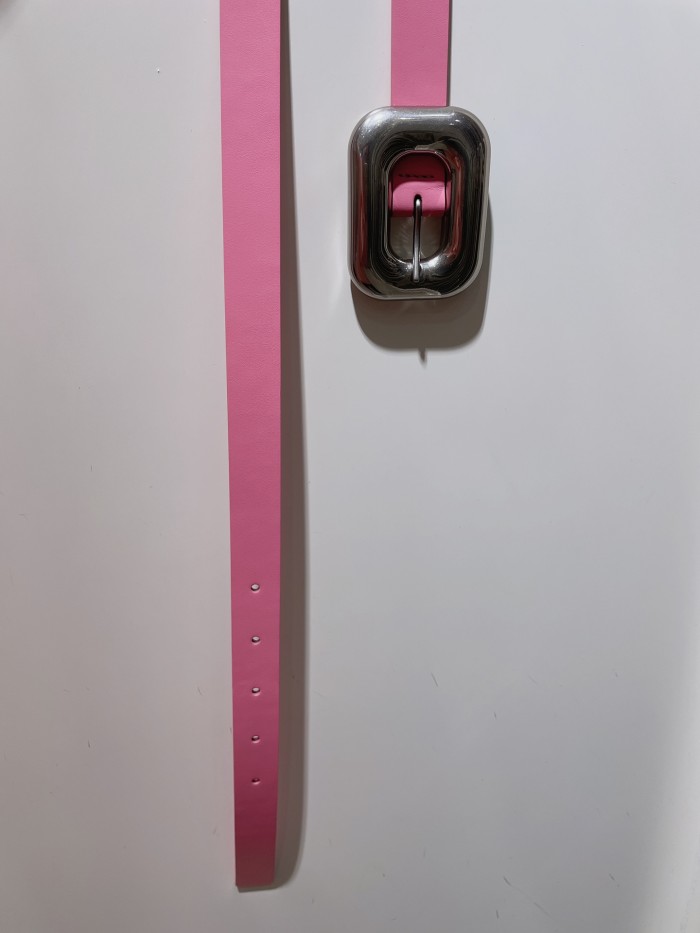 Bottega Veneta Belt 6 (width 2cm)