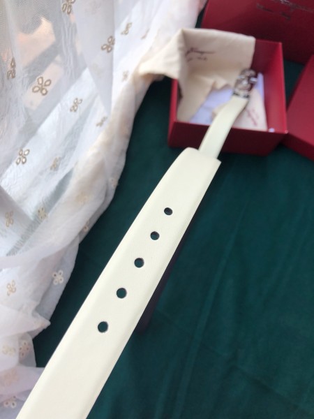 Ferragamo Belt 10 (width 2.5cm)