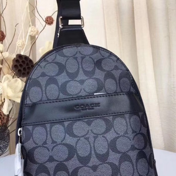 Coach F54787 size:20*32*6