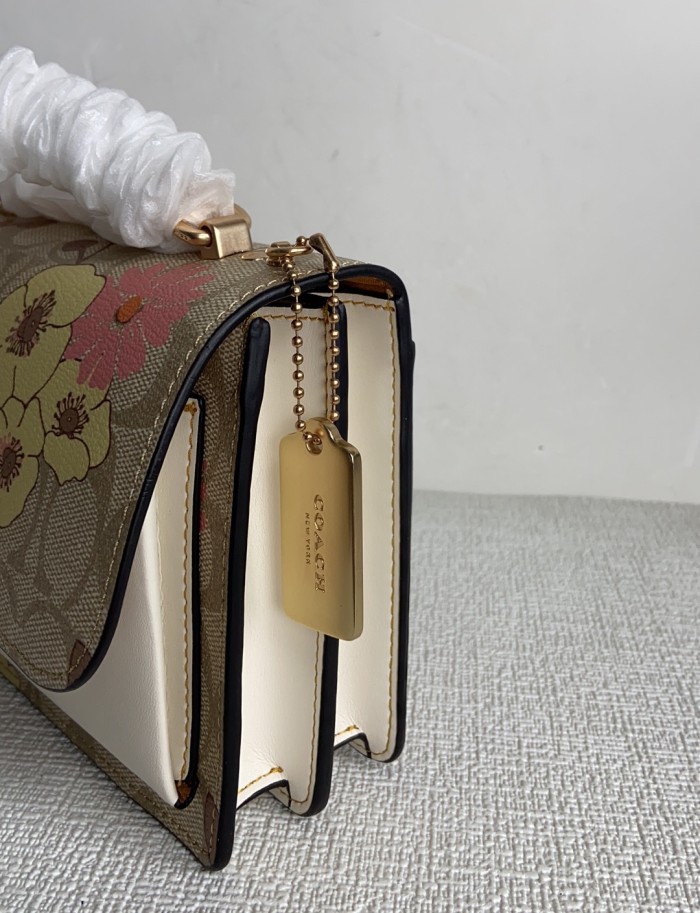 Handbags Coach CH256 size:18*15*6