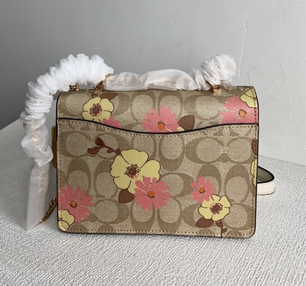 Handbags Coach CH256 size:18*15*6