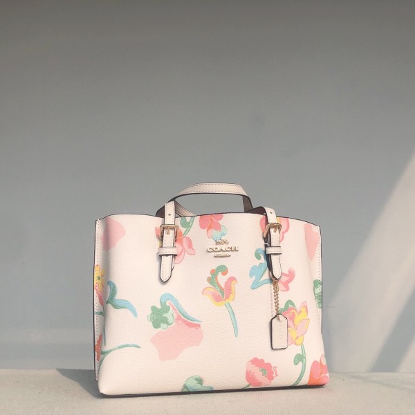 Coach C8217 size:25*19*11cm