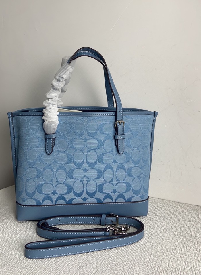 Coach CH228 size:25*19*11