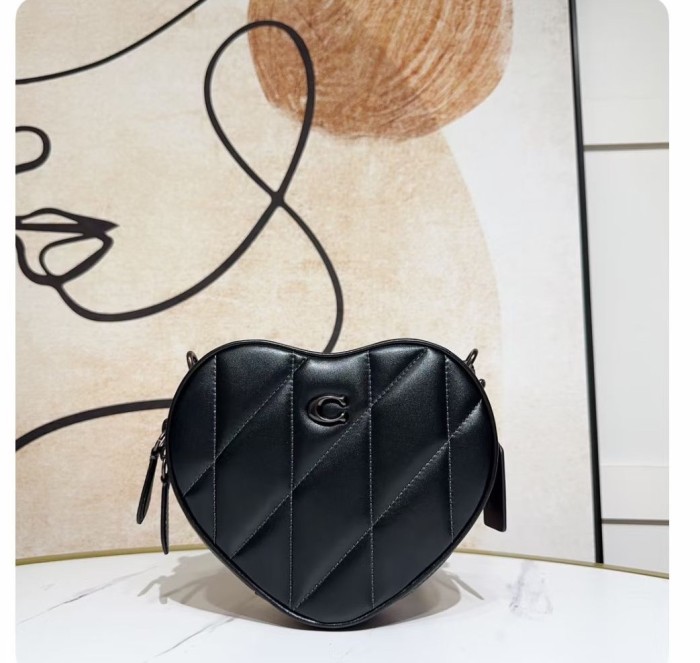  Handbags Coach CE725  size:19*16.5*5.5 cm