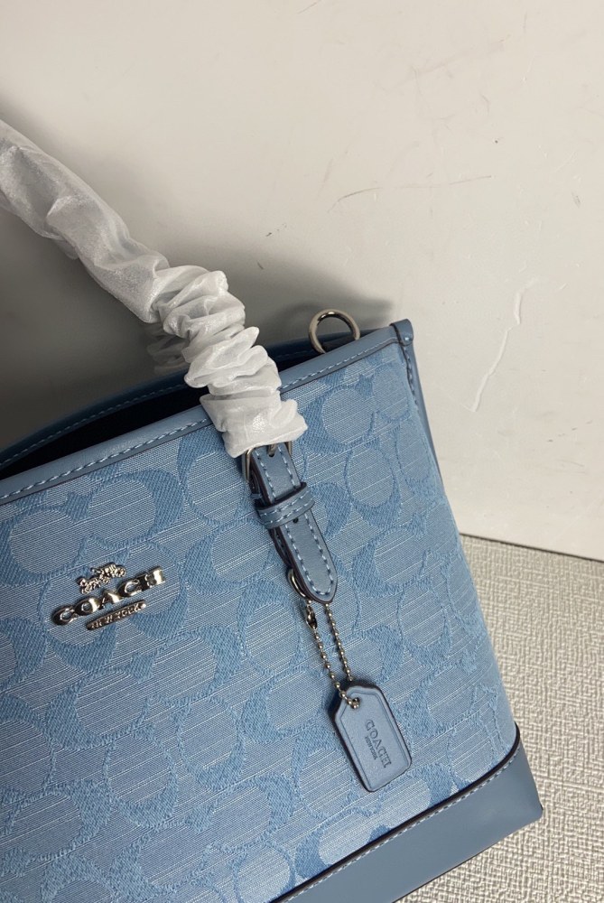 Coach CH228 size:25*19*11