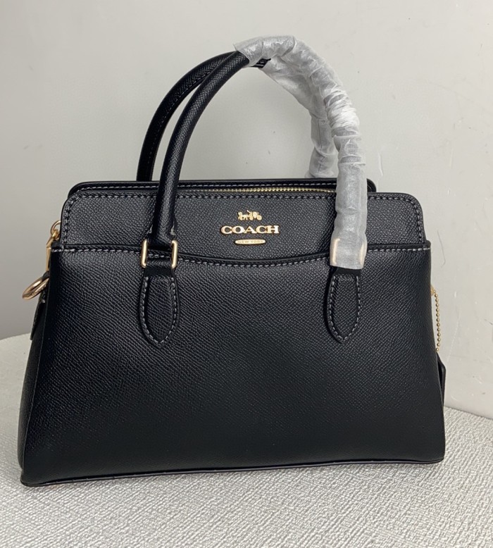 Coach CH859  size:26*17*11