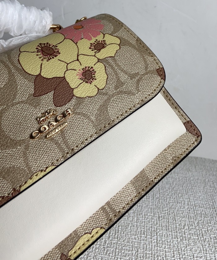 Handbags Coach CH256 size:18*15*6