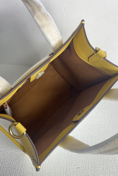 Handbags Coach CH740 size:22*20*12