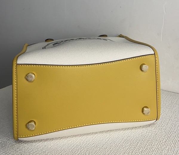 Handbags Coach CH740 size:22*20*12