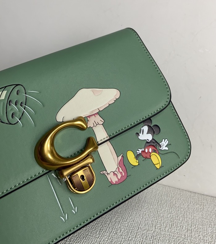 Handbags Coach CH467 size:25*14*6cm