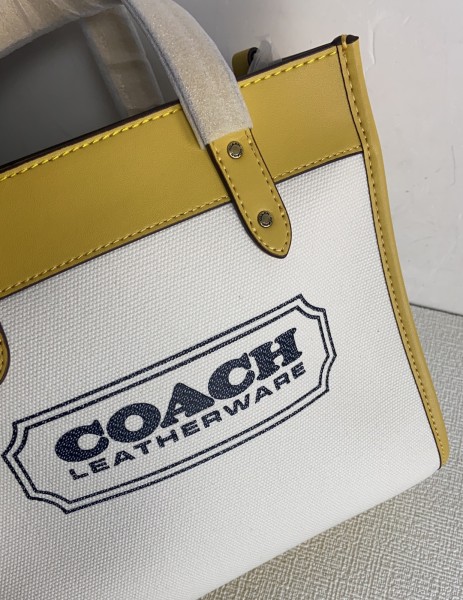 Handbags Coach CH740 size:22*20*12