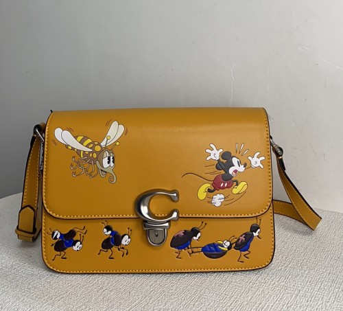 Handbags Coach CH750 size:23*14*5