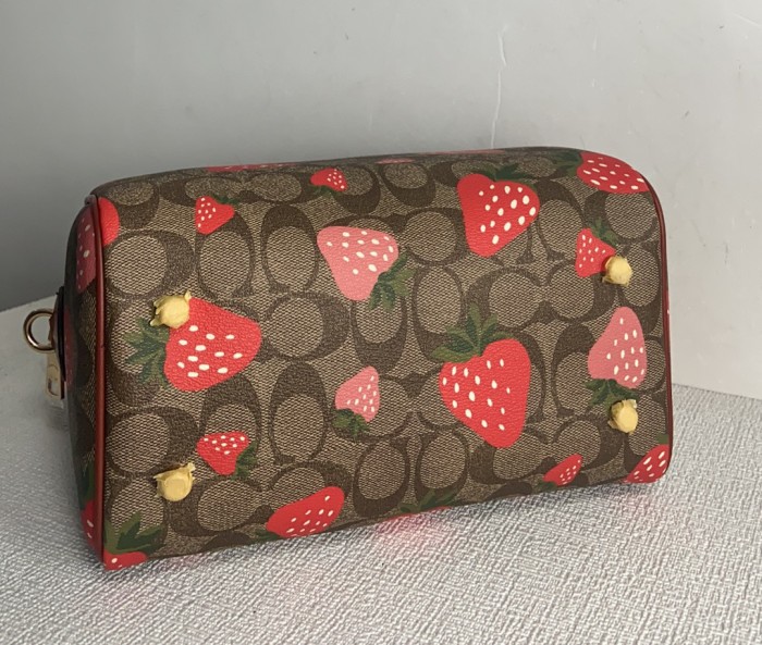 Handbags Coach CH511 size:24*18*10