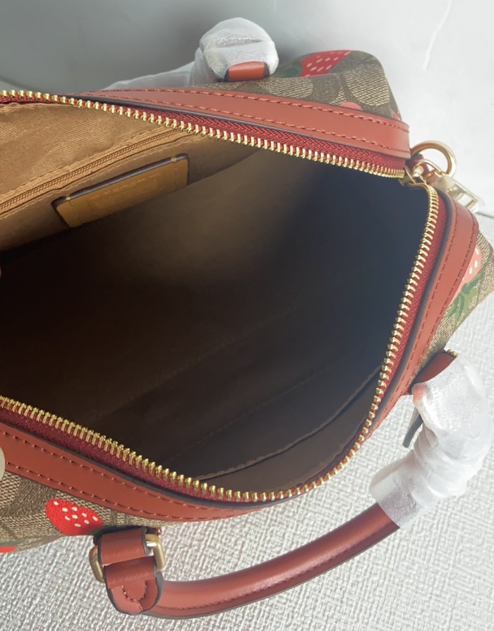 Handbags Coach CH511 size:24*18*10