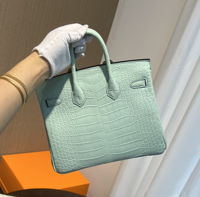  Handbags Hermes birkin size:25 cm