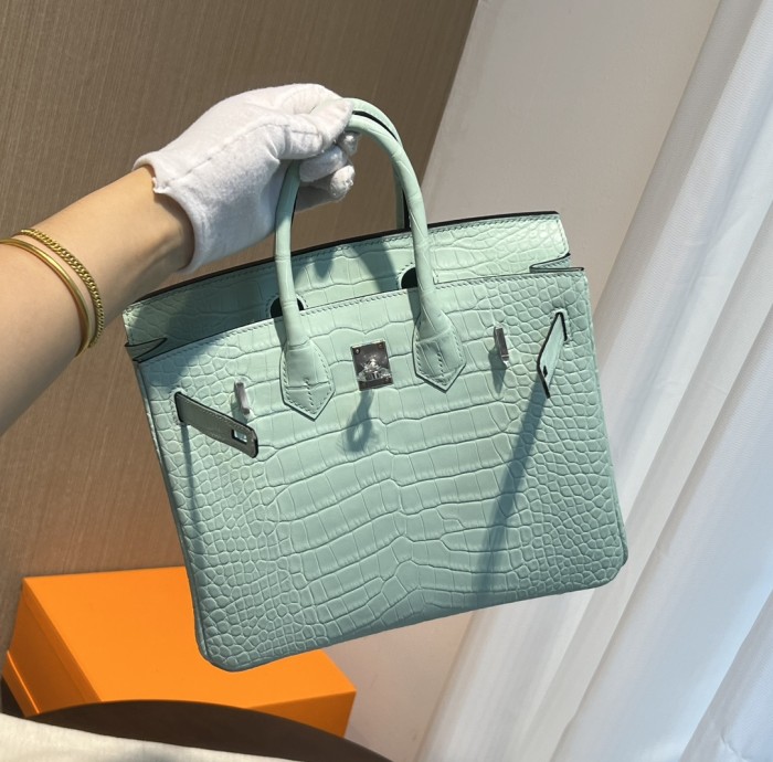 Handbags Hermes birkin size:25 cm