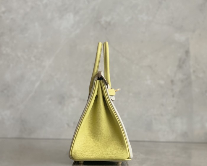  Handbags Hermes birkjn size:25 cm