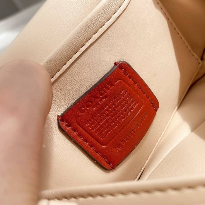 handbag COACH c3880 size 18*12*6 cm