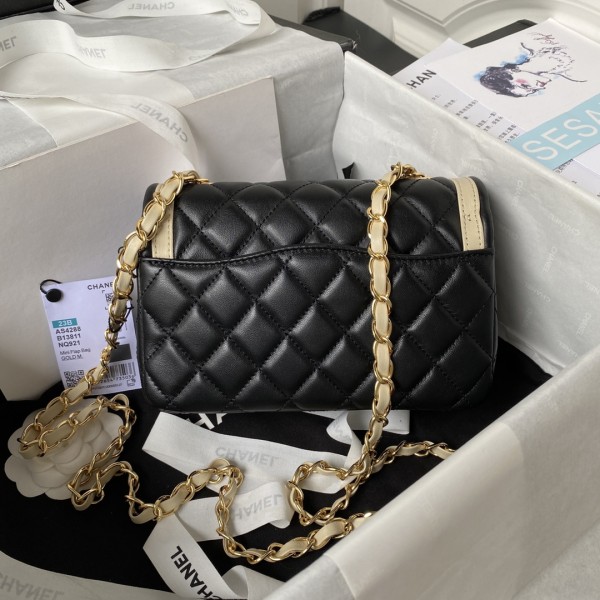  Handbags Chanel AS4288  size:13.5×20×6.5 cm
