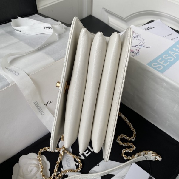  Handbags Chanel AS4286  size:15X21X9 cm