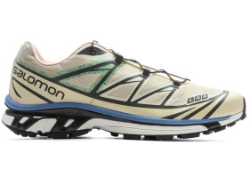 Salomon XT-6 Moth Vanilla