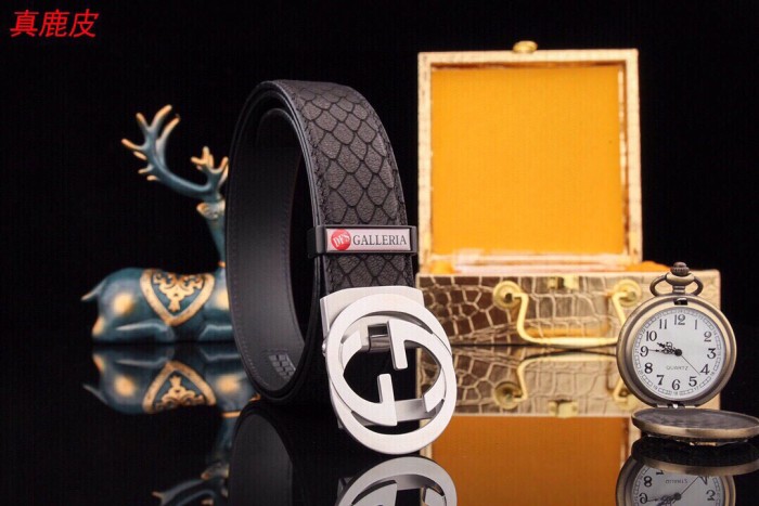 Streetwear  Belt Gucci 160812