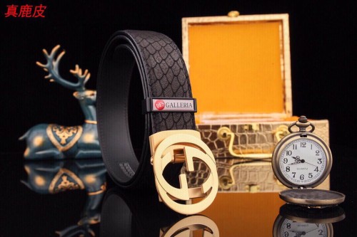 Streetwear  Belt Gucci 160812