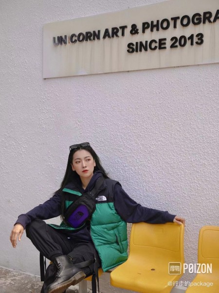 THE NORTH FACE 1996 Retro Nuptse Gilet