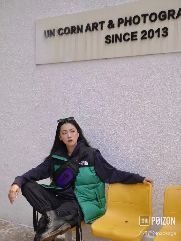 THE NORTH FACE 1996 Retro Nuptse Gilet