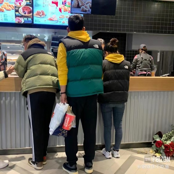 THE NORTH FACE 1996 Retro Nuptse Gilet