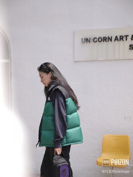 THE NORTH FACE 1996 Retro Nuptse Gilet