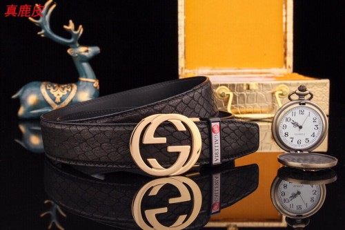 Streetwear  Belt Gucci 160711