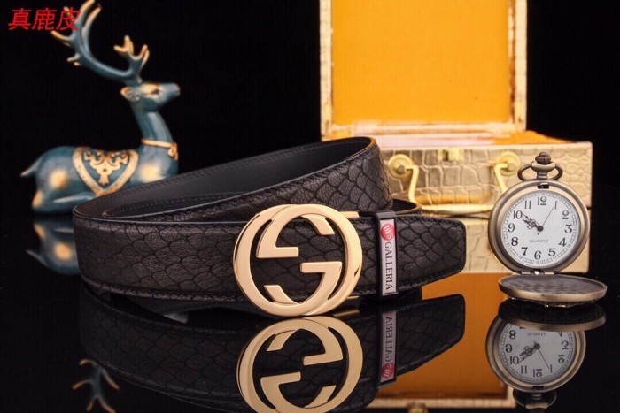 Streetwear  Belt Gucci 160711
