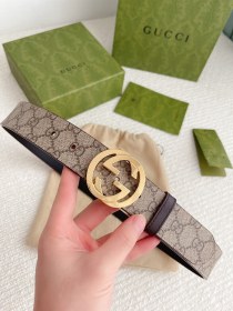 Streetwear  Belt Gucci 160696