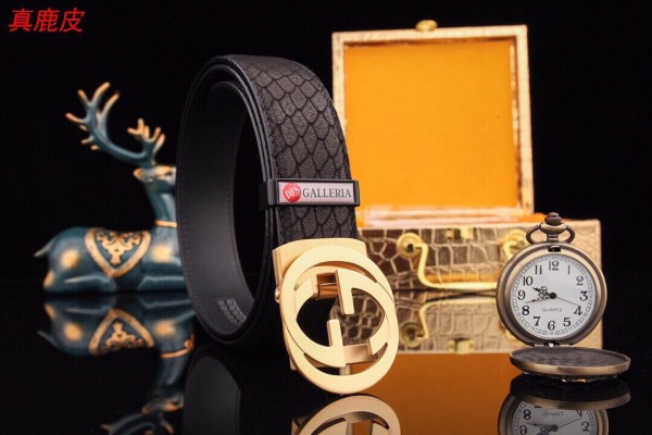 Streetwear  Belt Gucci 160711