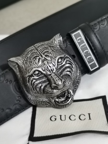 Streetwear  Belt Gucci 160415
