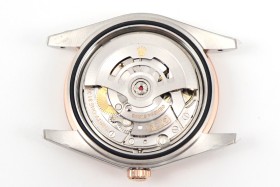 Watches Rolex 311189 size:41 mm