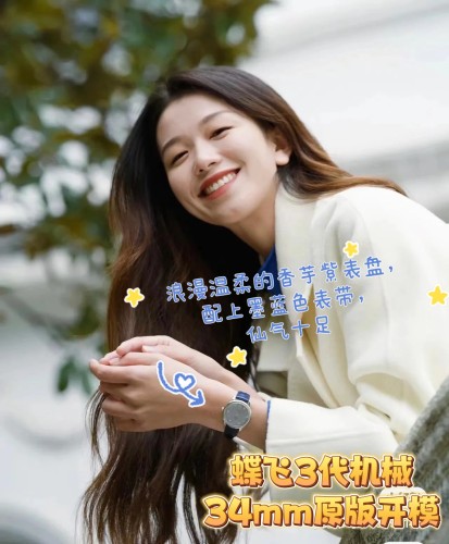  Watches OMEGA 318841 size:34 mm