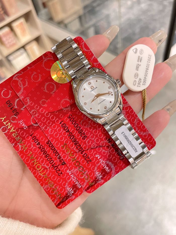 Watches OMEGA Aqua Terra 317842 size:28 mm