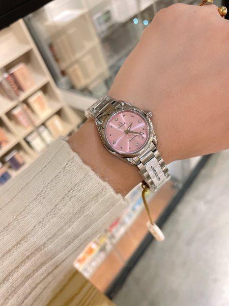 Watches OMEGA Aqua Terra 317843 size:28 mm