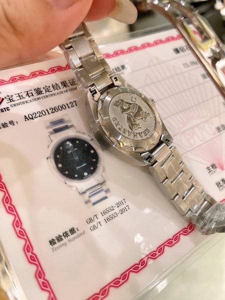 Watches OMEGA Aqua Terra 317841 size:28 mm