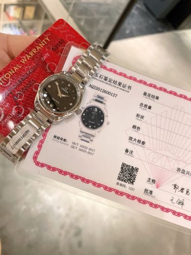 Watches OMEGA Aqua Terra 317841 size:28 mm