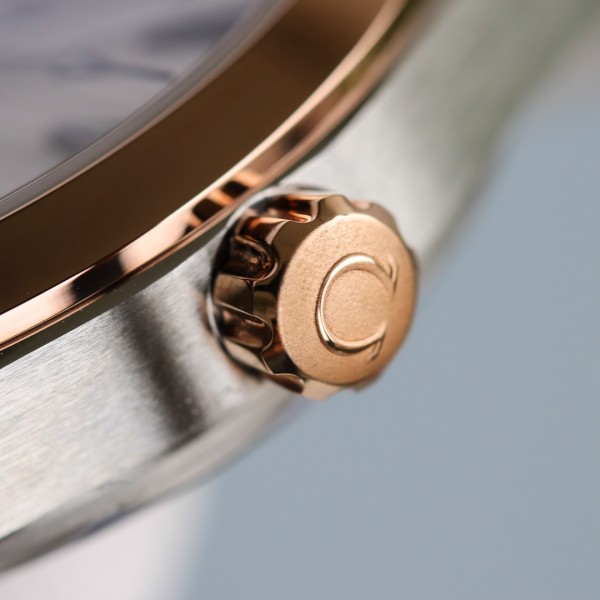  Watches OMEGA Aqua Terra 316590 size:41 mm