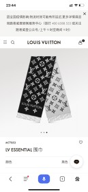 Hat & Scarf Louis Vuitton 5