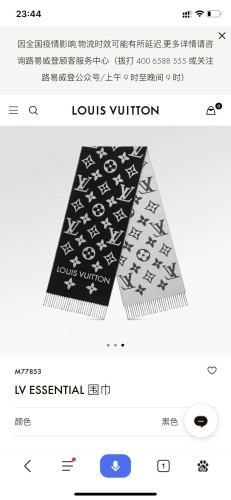 Hat & Scarf Louis Vuitton 5