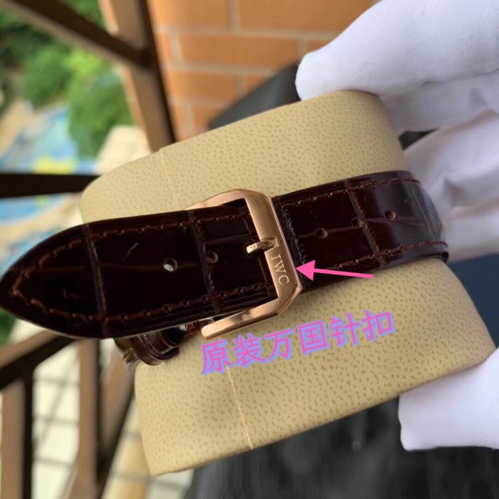 Watches IWS 323055 size:43 mm