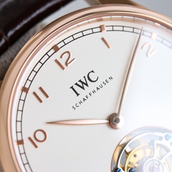 Watches IWS 323015 size:42 mm