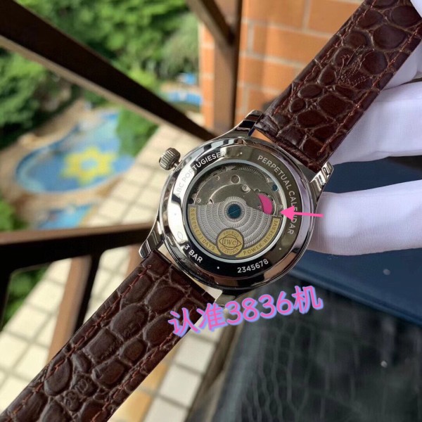 Watches IWS 323056 size:43 mm